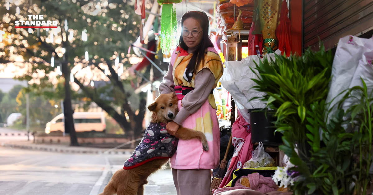 ภาคเหนือ-อีสาน อุณหภูมิลด 1-3 องศาฯ ถึง 24 ต.ค. ส่วนภาคใต้ฝนยังหนักต่อเนื่อง พร้อมเฝ้าระวังคลื่นสูง อิทธิพลร่องมรสุม