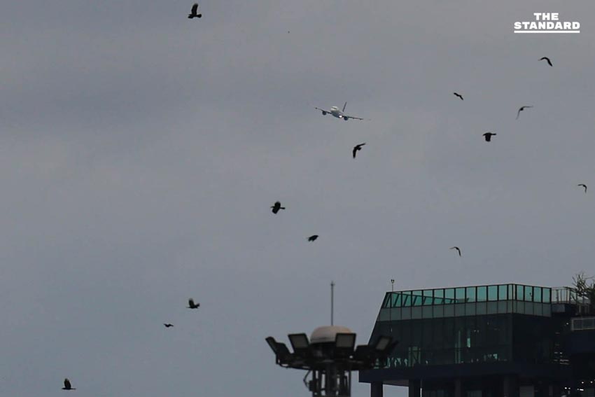 สัมผัสอากาศเย็น ชวนสังเกตเครื่องบินบินผ่านเขตเมือง รับลมหนาว