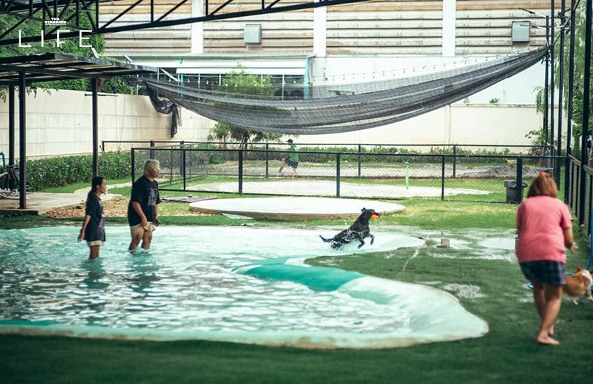 **4 HOURS LIFE with Ploi Horwang กับ Living Quality ในช่วงนี้** 15