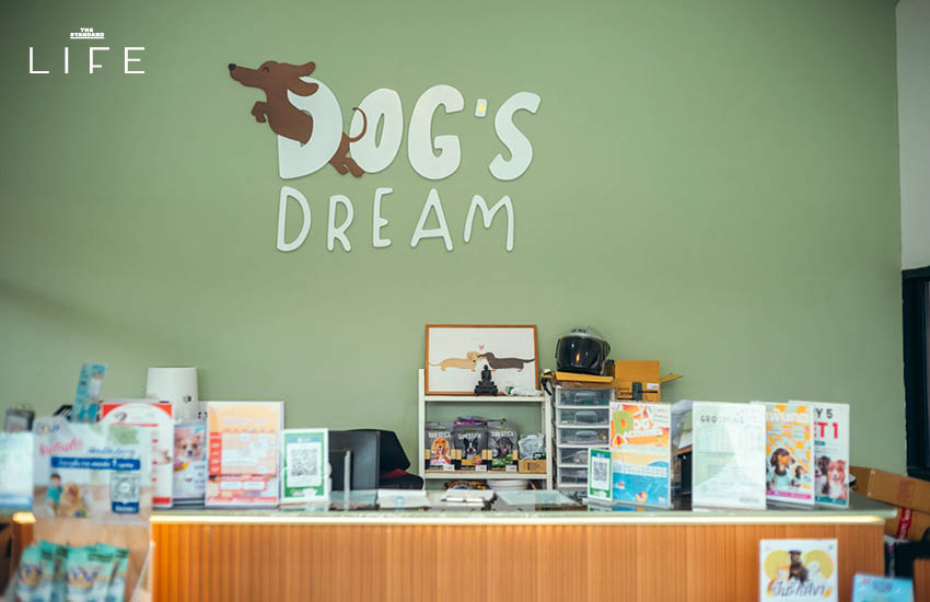 **4 HOURS LIFE with Ploi Horwang กับ Living Quality ในช่วงนี้** 16