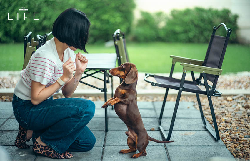 **4 HOURS LIFE with Ploi Horwang กับ Living Quality ในช่วงนี้** 18