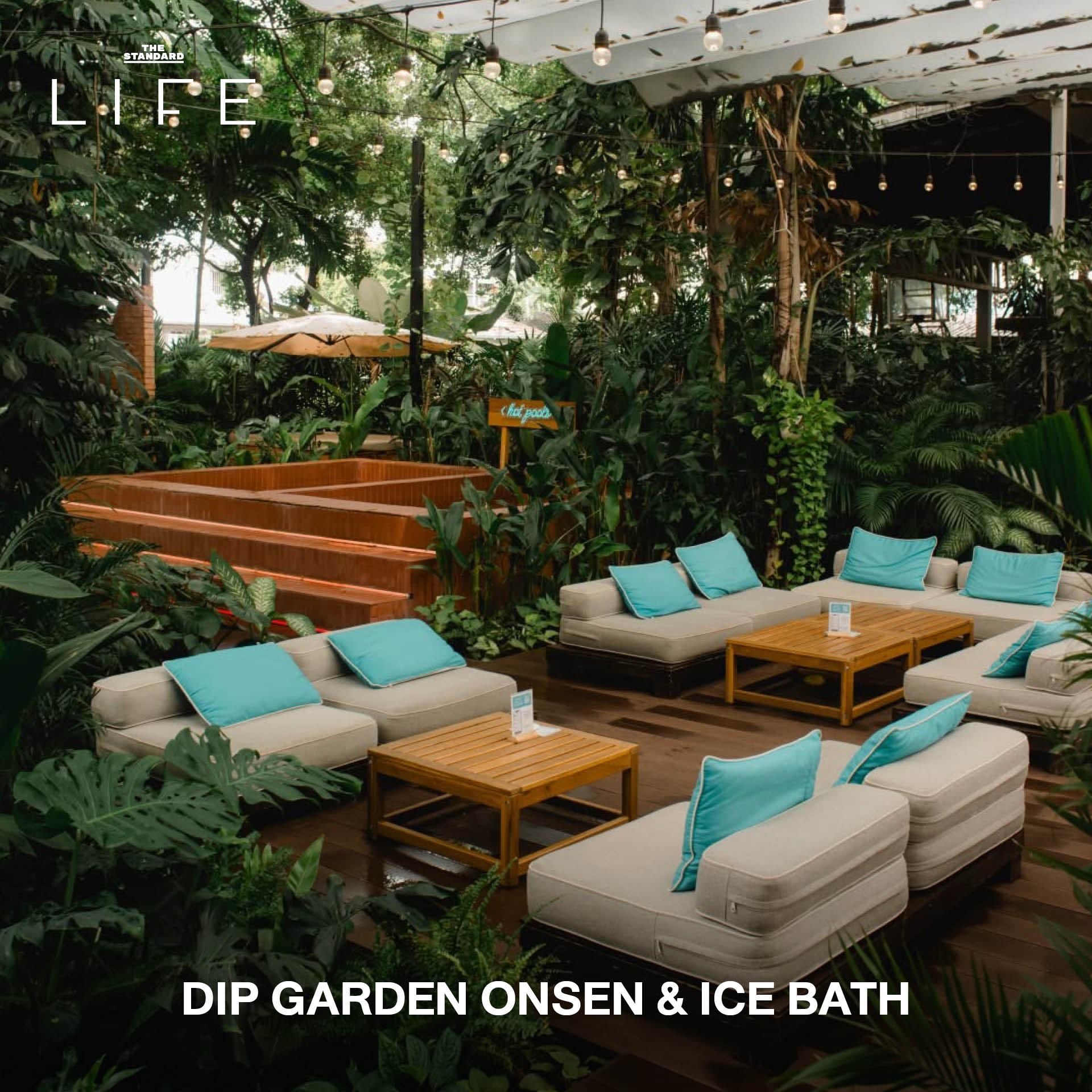 7. DIP GARDEN ONSEN & ICE BATH 