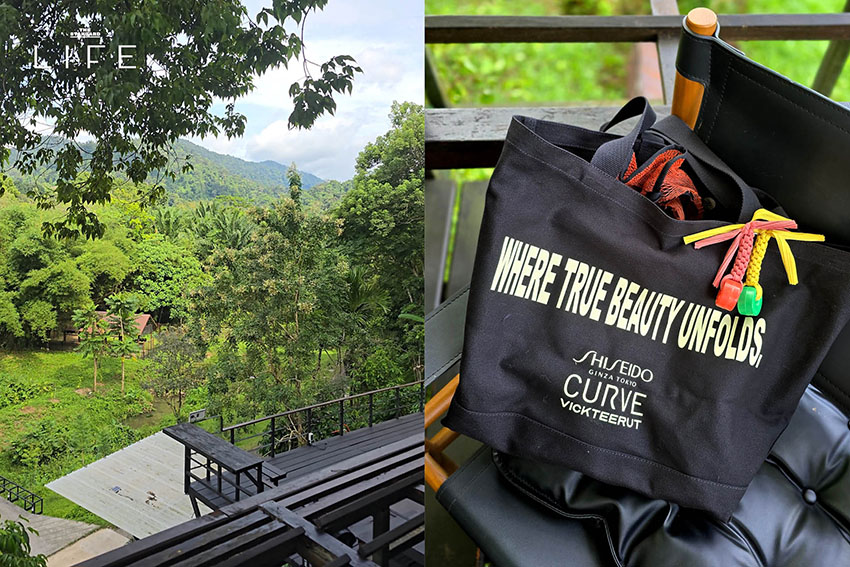 Curve BKK และ SHISEIDO คู่กัน