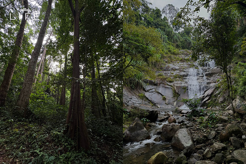 Curve BKK และ SHISEIDO คู่กัน