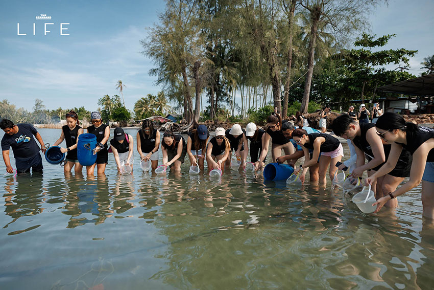 Curve BKK และ SHISEIDO คู่กัน
