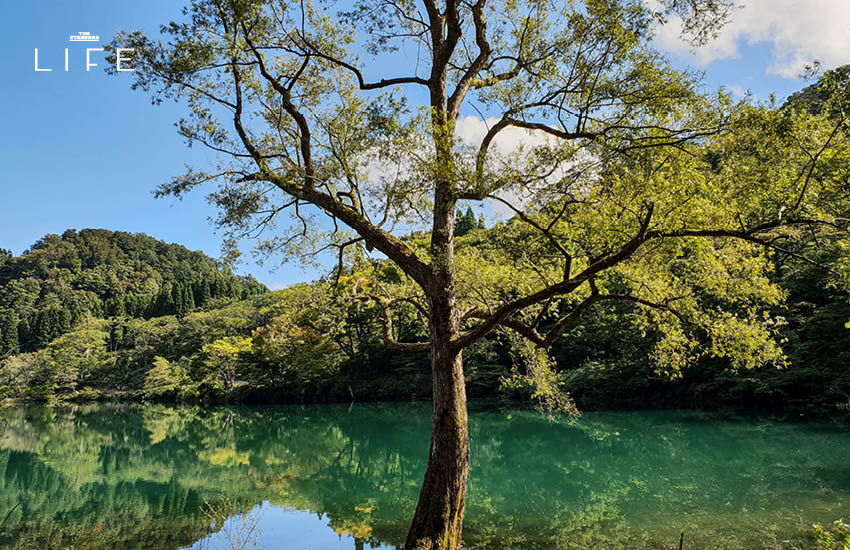 นีงาตะ Kotakigawa Jade Gorge Geosite