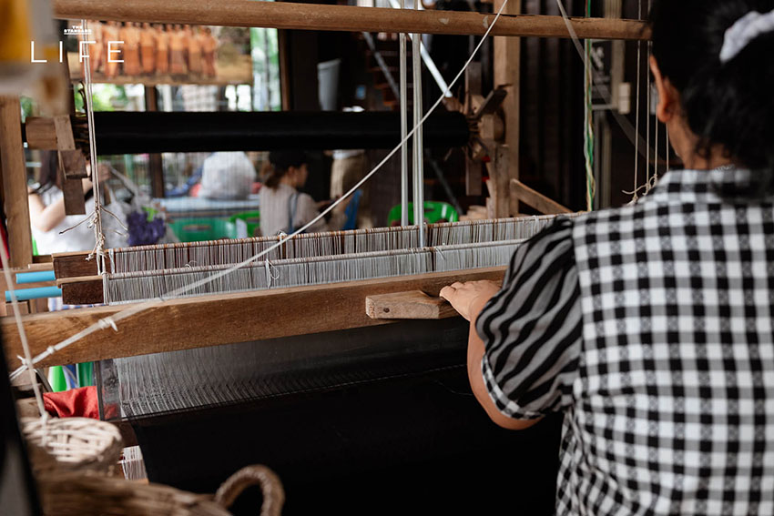 Curve BKK และ SHISEIDO คู่กัน