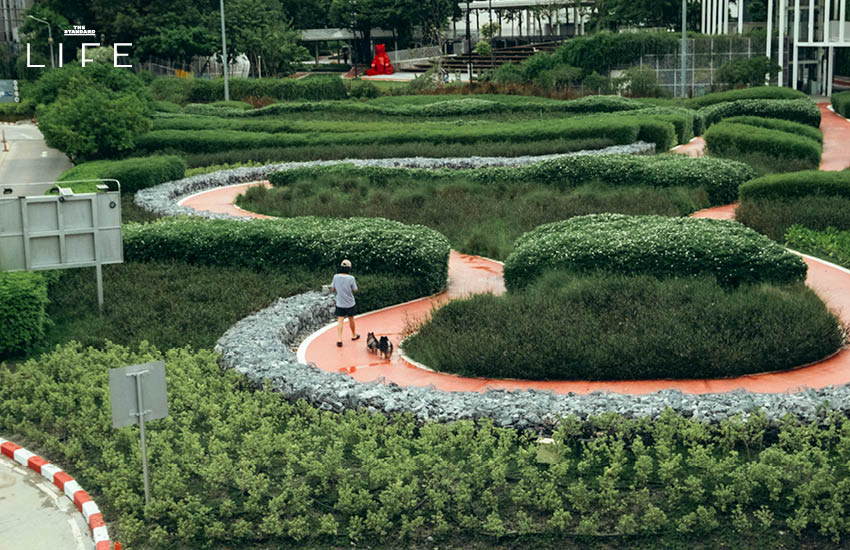 ดาร์ท ธนกร