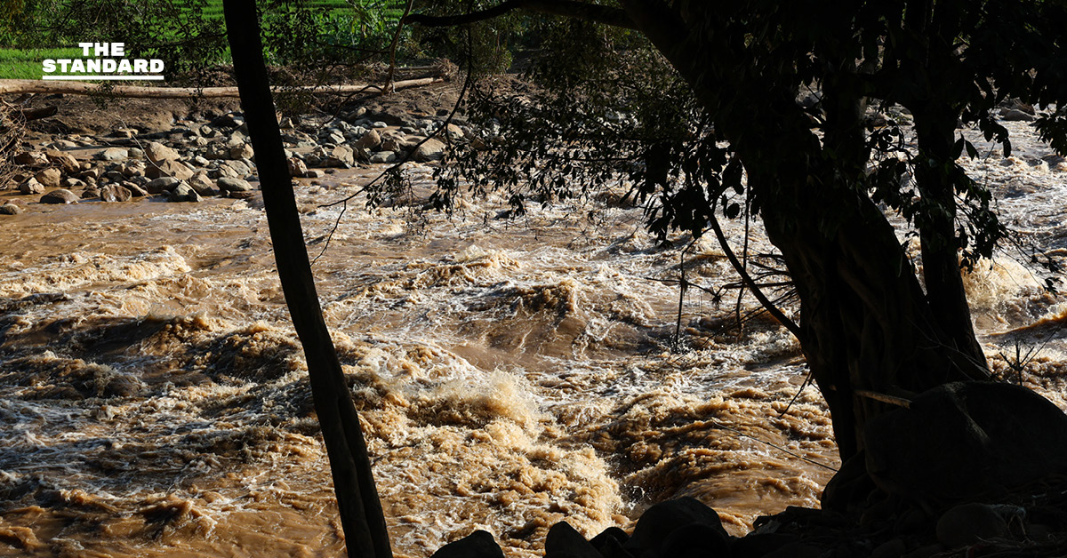 สทนช. ชี้ 15 เขื่อนขนาดใหญ่เสี่ยงน้ำล้นความจุ สั่งเร่งพร่องน้ำ ภูมิพล-สิริกิติ์ รับมือฝนเกินค่าเฉลี่ยและ 7 พายุ