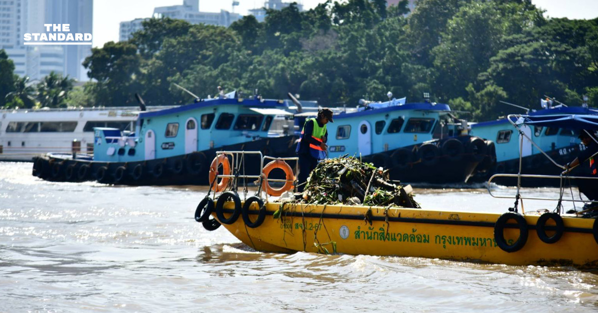 รองผู้ว่าฯ จักกพันธุ์ เผย ช่วงน้ำหลาก กทม. เก็บผักตบชวาได้ วันละ 9 ตัน หวั่นกระทบ คลองย่อยและระบบระบายน้ำ