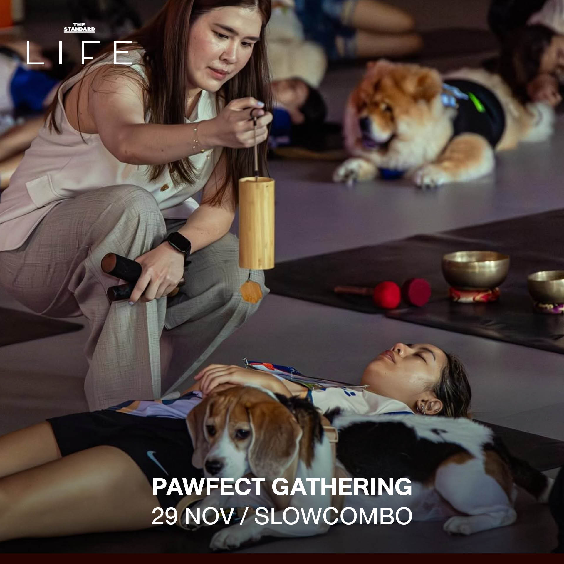 CALENDAR: กิจกรรมน่าสนใจสัปดาห์นี้ (27 พฤศจิกายน - 3 ธันวาคม 2568) 1