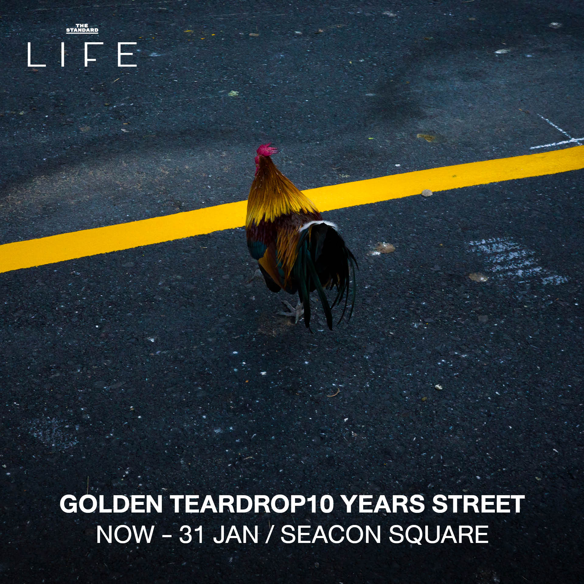 CALENDAR: กิจกรรมน่าสนใจสัปดาห์นี้ (13-19 พฤศจิกายน 2568) 4