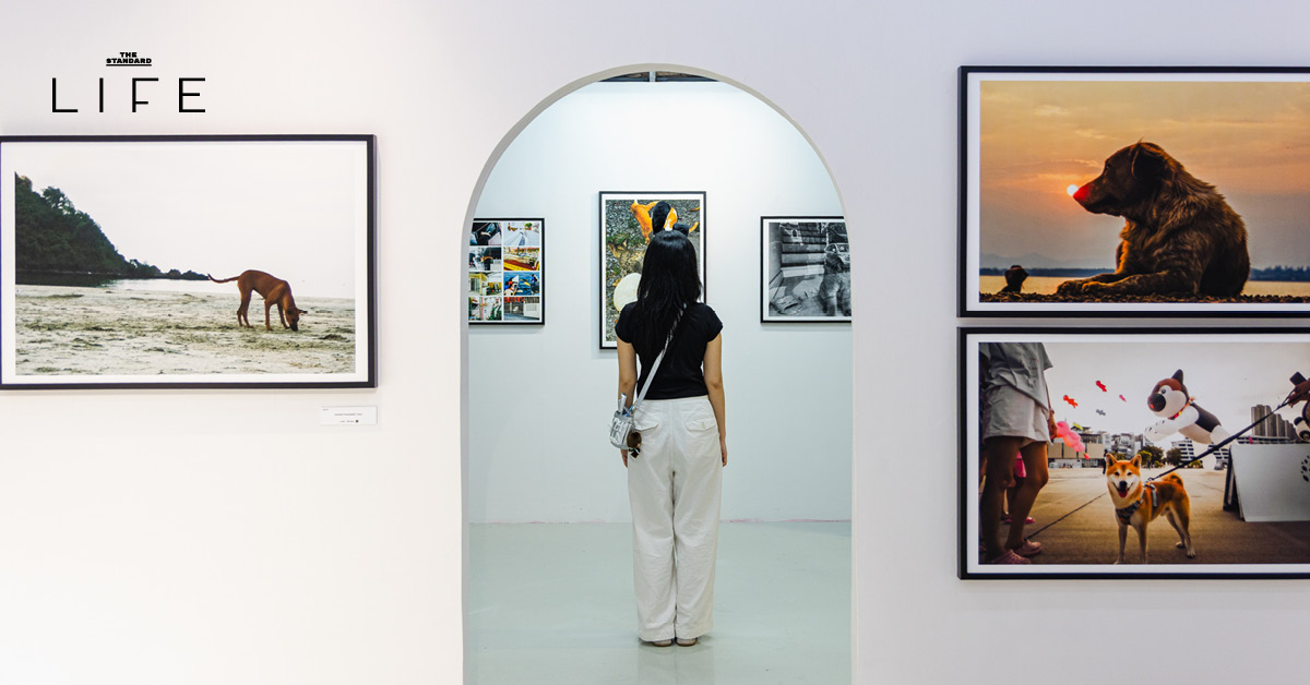 CALENDAR: กิจกรรมน่าสนใจสัปดาห์นี้ (6-12 พฤศจิกายน 2568)