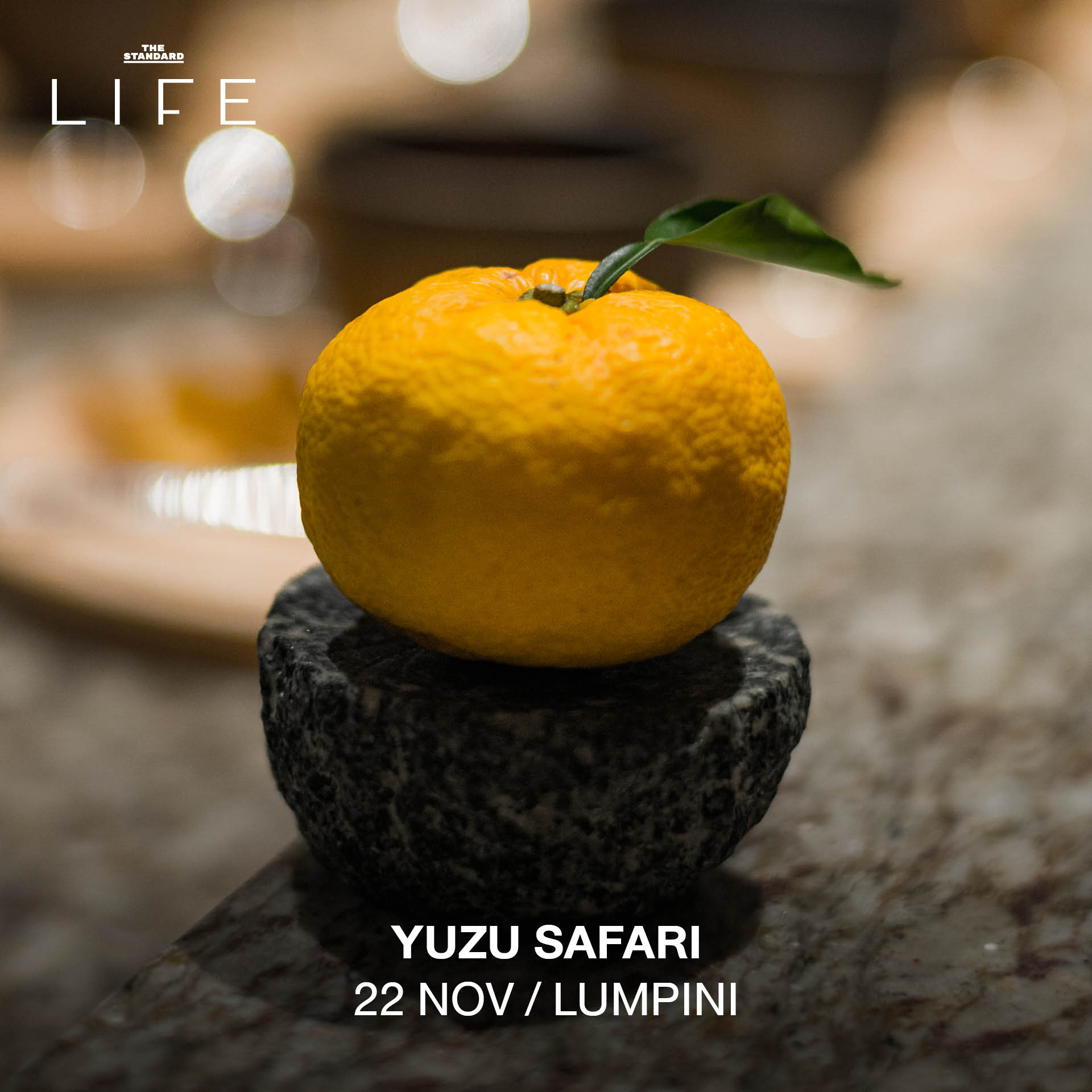 CALENDAR: กิจกรรมน่าสนใจสัปดาห์นี้ (20-26 พฤศจิกายน 2568) 9