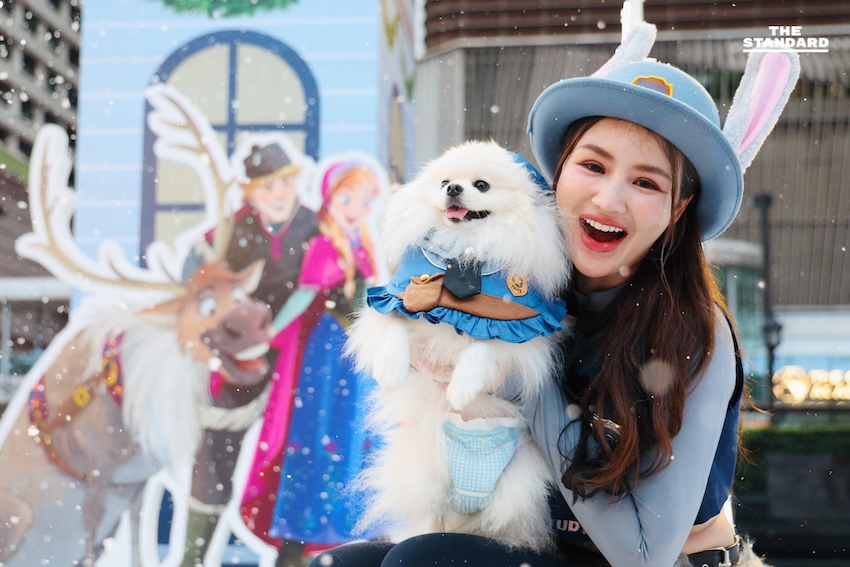 ดิสนีย์แลนด์ใจกลางกรุงเทพฯ เซ็นทรัลเวิลด์จัดไฟคริสต์มาสสุดแฟนตาซี ‘The Magical Stars 2026’ เริ่มพรุ่งนี้วันแรก 1