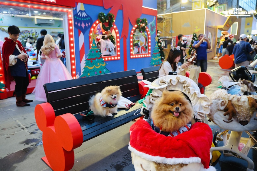 ดิสนีย์แลนด์ใจกลางกรุงเทพฯ เซ็นทรัลเวิลด์จัดไฟคริสต์มาสสุดแฟนตาซี ‘The Magical Stars 2026’ เริ่มพรุ่งนี้วันแรก 6