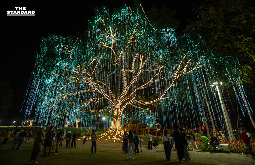 อบจ.เชียงใหม่ จัดงาน ‘มนต์เสน่ห์เชียงใหม่ เมืองดอกไม้งาม’ ต้อนรับลมหนาว รับ ไฮซีซั่น 2