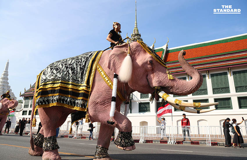 ริ้วขบวนคชสารคู่แผ่นดิน เข้าถวายสักการะพระบรมศพ สมเด็จพระพันปีหลวง 3