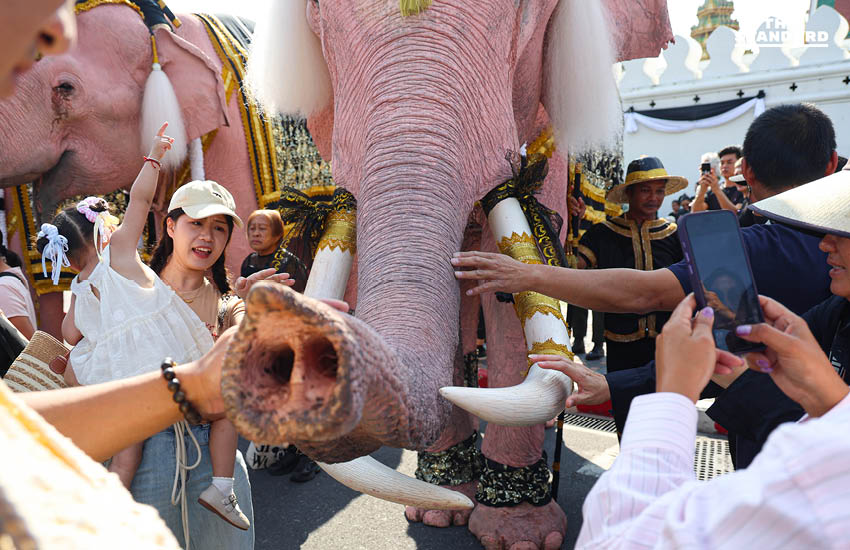 ริ้วขบวนคชสารคู่แผ่นดิน เข้าถวายสักการะพระบรมศพ สมเด็จพระพันปีหลวง 7