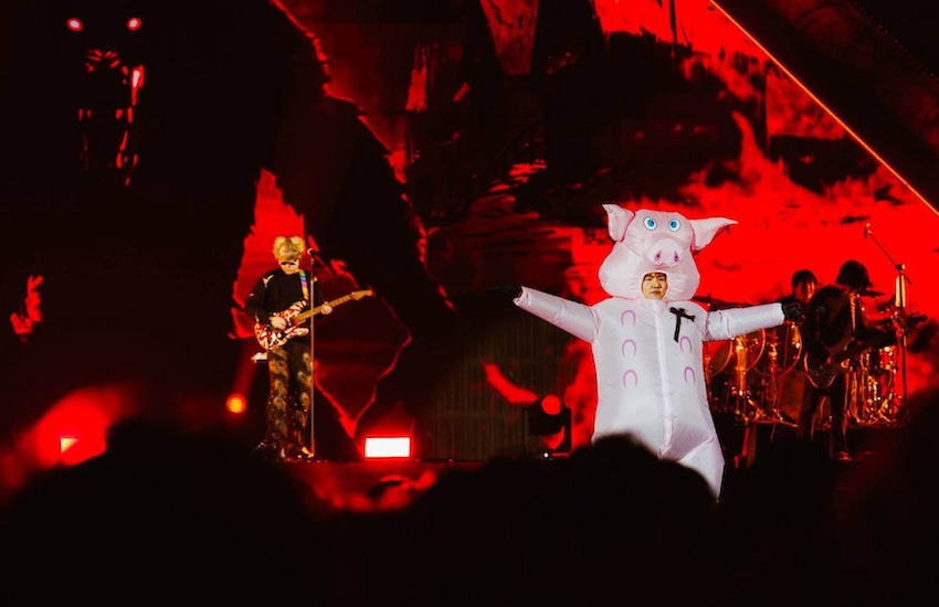 ENCHANTED FEST 2025 เทศกาลดนตรีฮาโลวีนสุดยิ่งใหญ่ที่จัดต่อเนื่องเป็นปีที่สอง 5