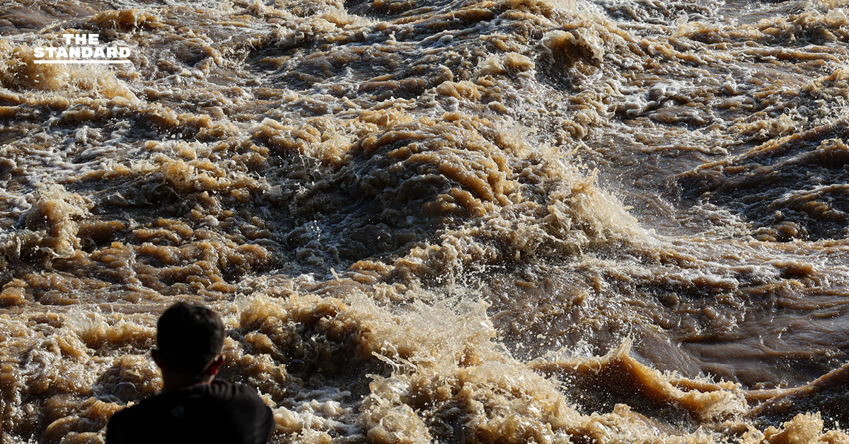 ปภ. เดินหน้าจ่ายเยียวยาน้ำท่วม 9,000 บาท/ครัวเรือน โอนวันแรกกว่า 603 ล้านบาท ย้ำโอนต่อเนื่อง 4 พ.ย. อีก 2 จังหวัด