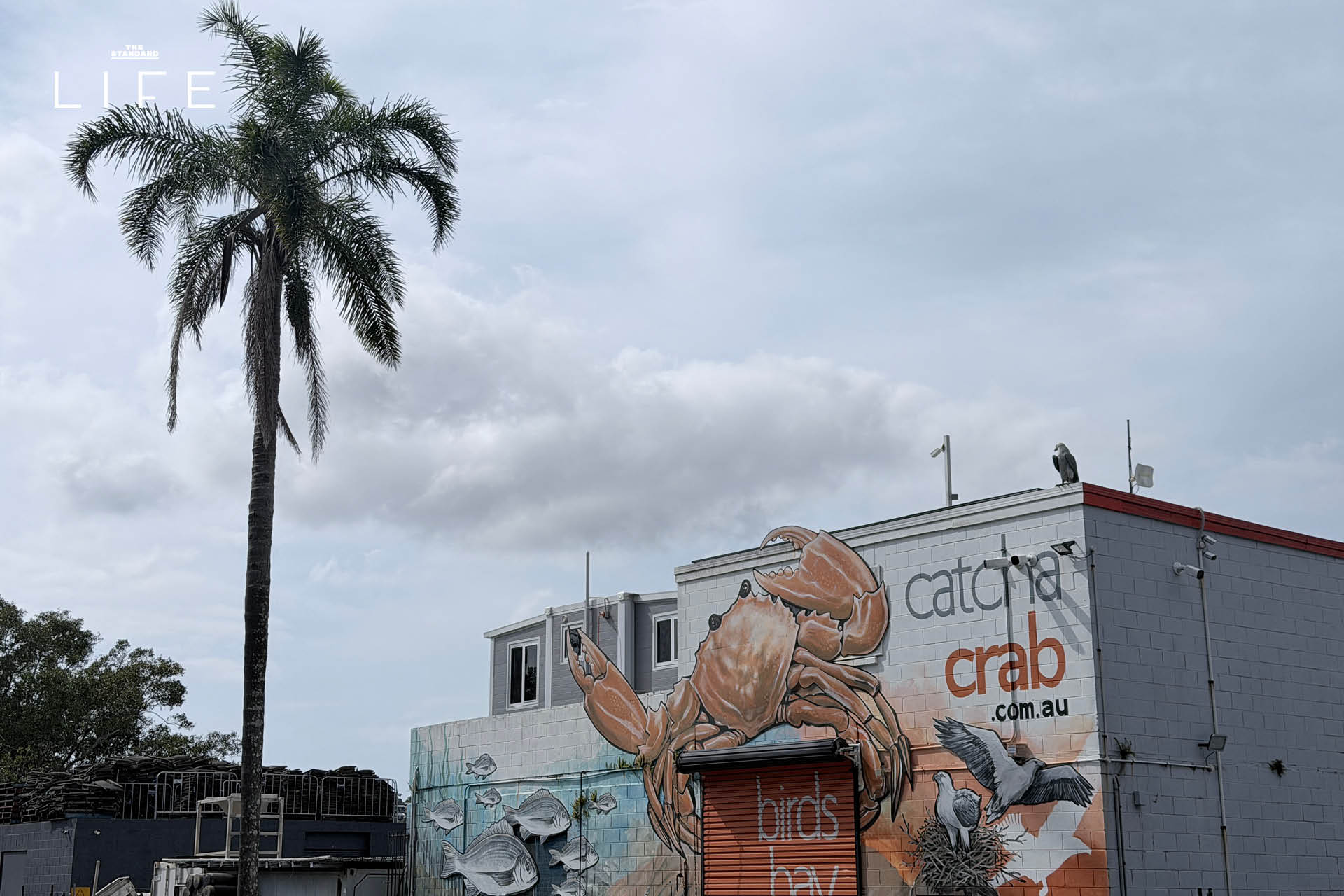 รวมสถานที่เที่ยว ใน โกลด์โคสต์ (Gold Coast) เมืองริมทะเล ของ ออสเตรเลีย 13