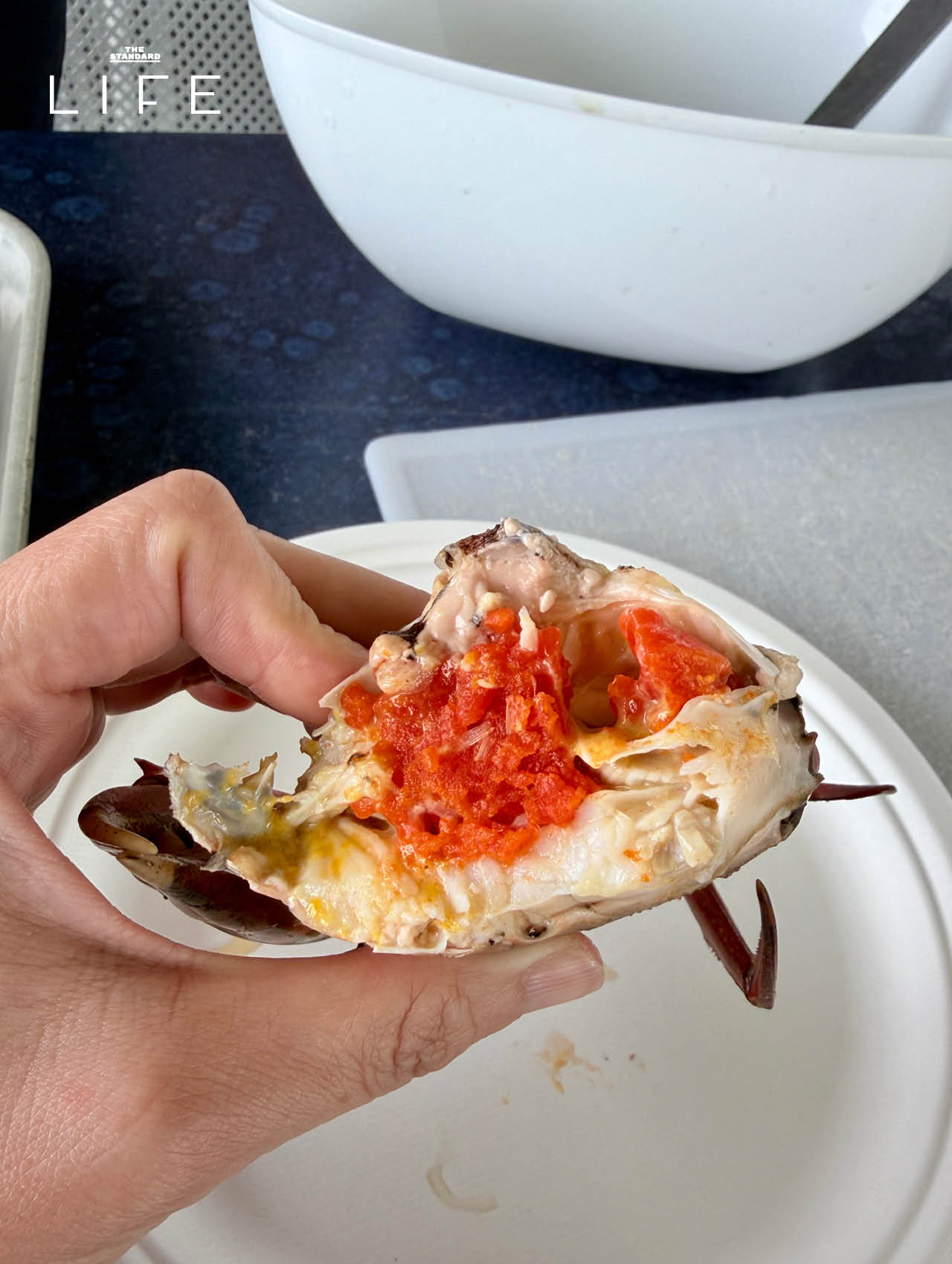 รวมสถานที่เที่ยว ใน โกลด์โคสต์ (Gold Coast) เมืองริมทะเล ของ ออสเตรเลีย 15