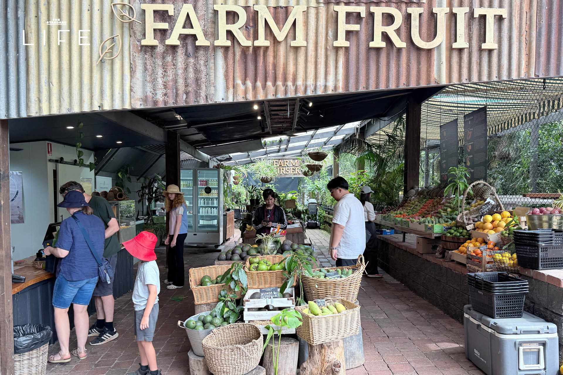 รวมสถานที่เที่ยว ใน โกลด์โคสต์ (Gold Coast) เมืองริมทะเล ของ ออสเตรเลีย 16