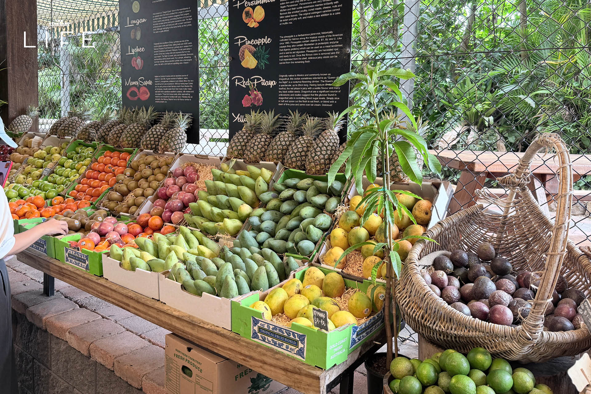 รวมสถานที่เที่ยว ใน โกลด์โคสต์ (Gold Coast) เมืองริมทะเล ของ ออสเตรเลีย 17