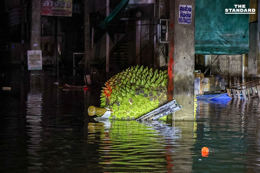 ประมวลภาพคืนแรกน้ำท่วม หาดใหญ่ลดระดับ เผยความเสียหาย ขณะที่บางจุดยังวิกฤตท่วมสูง 2 เมตร 5