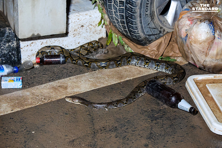 ประมวลภาพคืนแรกน้ำท่วม หาดใหญ่ลดระดับ เผยความเสียหาย ขณะที่บางจุดยังวิกฤตท่วมสูง 2 เมตร 6