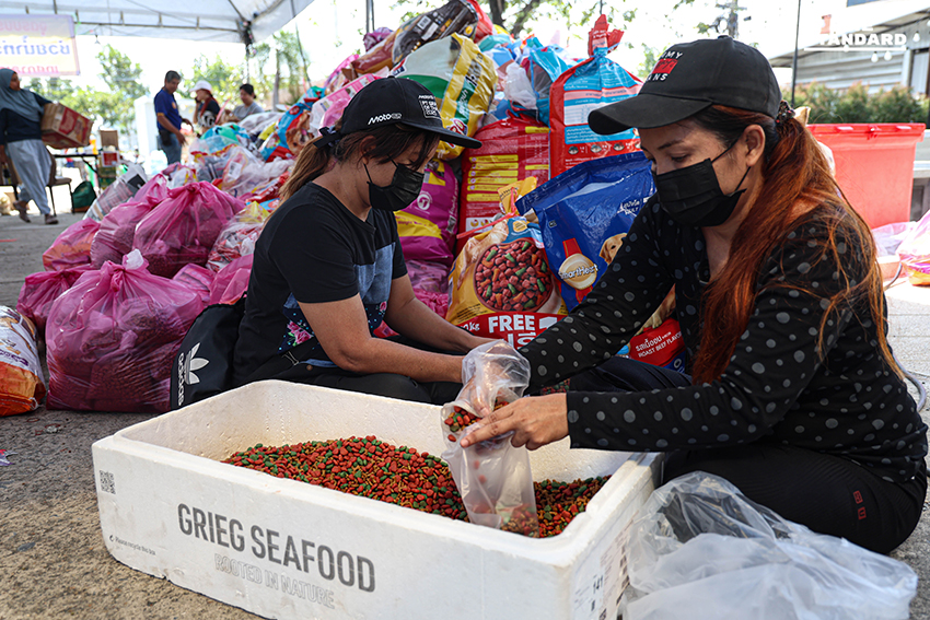 Based on the Khaosod/Thairath spacing rule (add a space before proper nouns that follow a verb), the most appropriate place to add a space in this headline is before ภาคใต้ (southern region). While ภาคใต้ directly follows the noun น้ำท่วม, it is part of a longer phrase ช่วยผู้ประสบภัยน้ำท่วมภาคใต้ where the verb ช่วย (help) implies assistance to the people *in* that specific region, making ภาคใต้ a proper noun directly related to the action of the verb in a broader sense. Original: คนกรุงไม่ทิ้งกัน ‘เทศกาลเจนนี่’ รวมพลังอาสา ส่งน้ำใจช่วยผู้ประสบภัยน้ำท่วมภาคใต้ Reformatted: คนกรุงไม่ทิ้งกัน ‘เทศกาลเจนนี่’ รวมพลังอาสา ส่งน้ำใจช่วยผู้ประสบภัยน้ำท่วม ภาคใต้ 3
