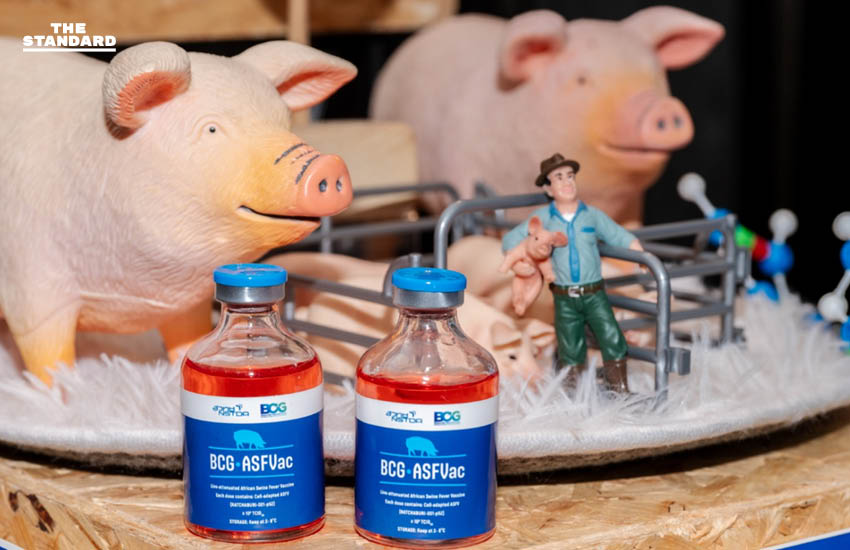 เชิดชู 2 นักวิจัยหญิง สวทช. ผลักดันความหวังใหม่ด้วยนวัตกรรม ‘วัคซีน ASF–นาโนส่งยา’ จนคว้ารางวัลนักวิทยาศาสตร์สตรีปี 2568 จาก LOréal [Advertorial] 3