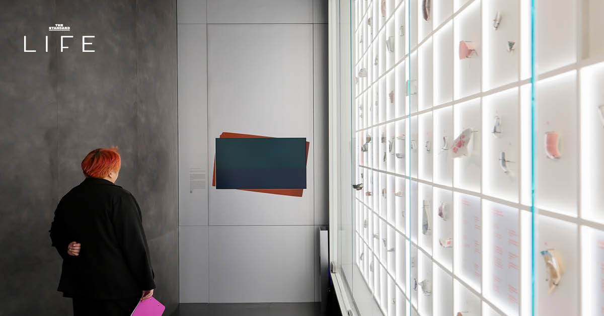 เตรียมท่องพิพิธภัณฑ์ยามค่ำคืน Night at the Museum Festival 2025 เริ่ม 5 ธ.ค. นี้