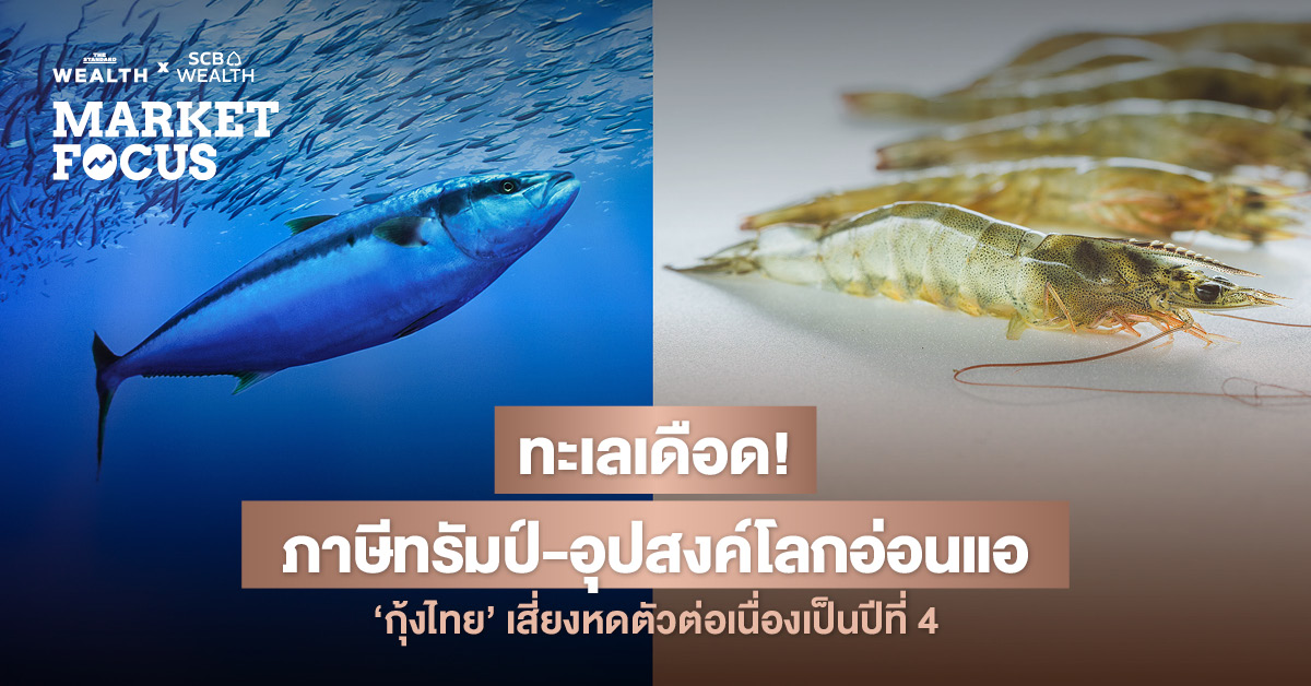 อุตสาหกรรมอาหารทะเลไทยปี 69 เข้าสู่ภาวะเปราะบาง: เจอศึกหนักจาก ‘ภาษีทรัมป์’ SCB EIC ชี้ทางรอดต้องหนี **Price War** ด้วยการยกระดับสู่ **Premium**, ความยั่งยืน และเทคโนโลยี