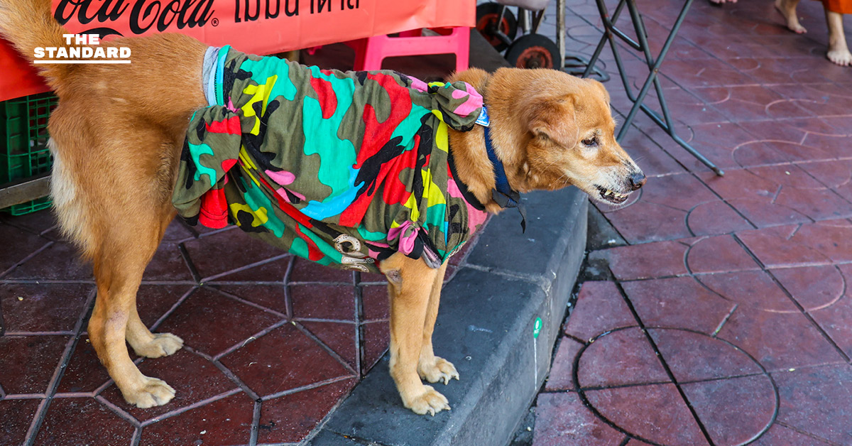 กรมอุตุฯ เตือน อากาศแปรปรวน 17-23 พ.ย. ไทยตอนบน เตรียมรับมือหนาวจัด ภาคใต้ ฝนหนัก คลื่นลมแรงในอ่าวไทย