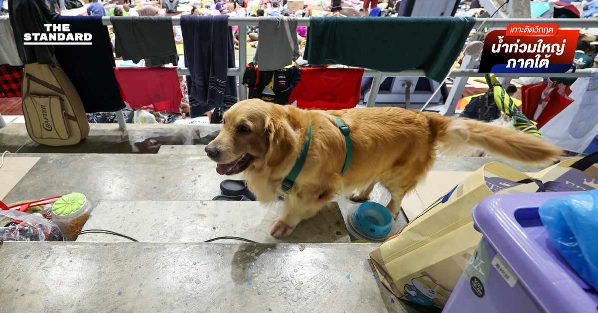 ศูนย์พักพิง ม.อ. เปิดดูแลทั้งคนและสัตว์เลี้ยง แม้สถานการณ์น้ำท่วม หาดใหญ่ เริ่มคลี่คลาย