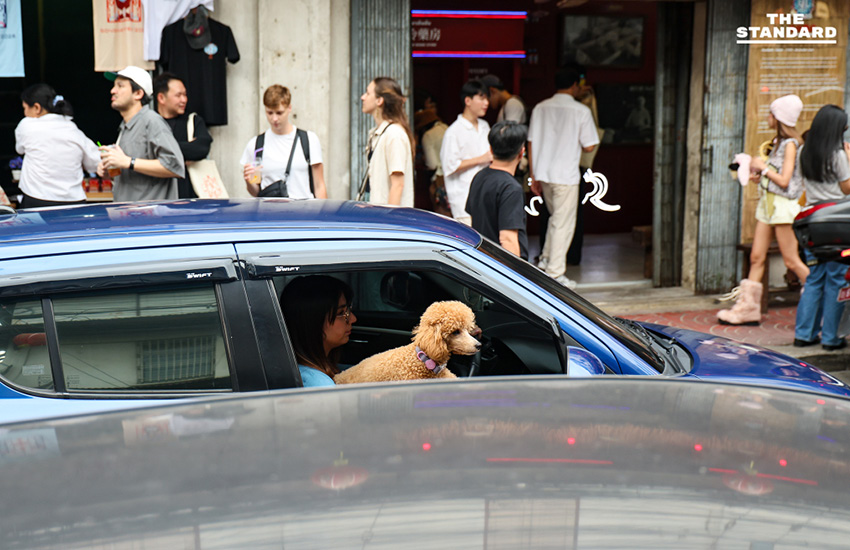 ปลุกชีพย่านเก่า Song Wat Week 2025 วาดเฉดสีใหม่ให้ประวัติศาสตร์ ผสานมรดกวัฒนธรรมและความคิดสร้างสรรค์ 15