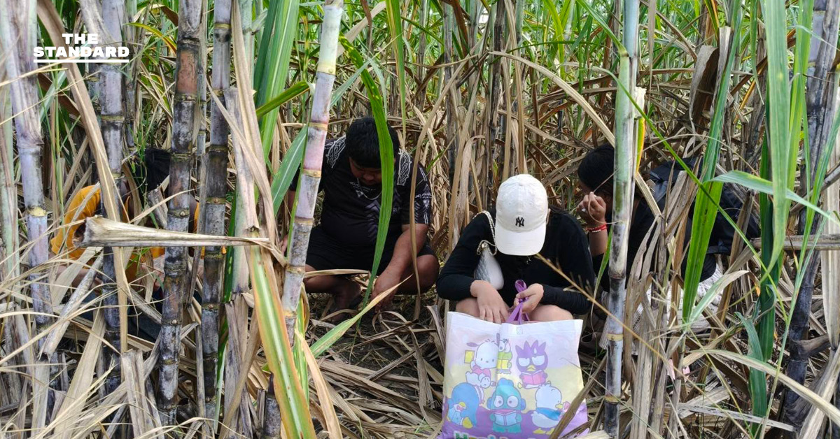 ทหารบูรพา รวบ 4 คนไทย ลอบออกประเทศผิดกฎหมาย หวังข้ามไปทำงานเว็บออนไลน์ ที่ปอยเปต