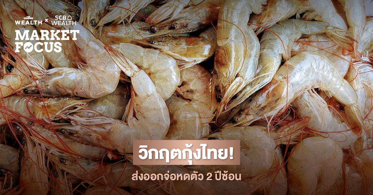 อุตสาหกรรมกุ้งไทยปี 69 จ่อหดตัวต่อเนื่องเป็นปีที่ 4 SCB EIC ชี้ Reciprocal Tariffs ของ ทรัมป์ และต้นทุนการผลิตสูง จะกัดกร่อนความสามารถในการแข่งขันด้านราคาอย่างหนัก
