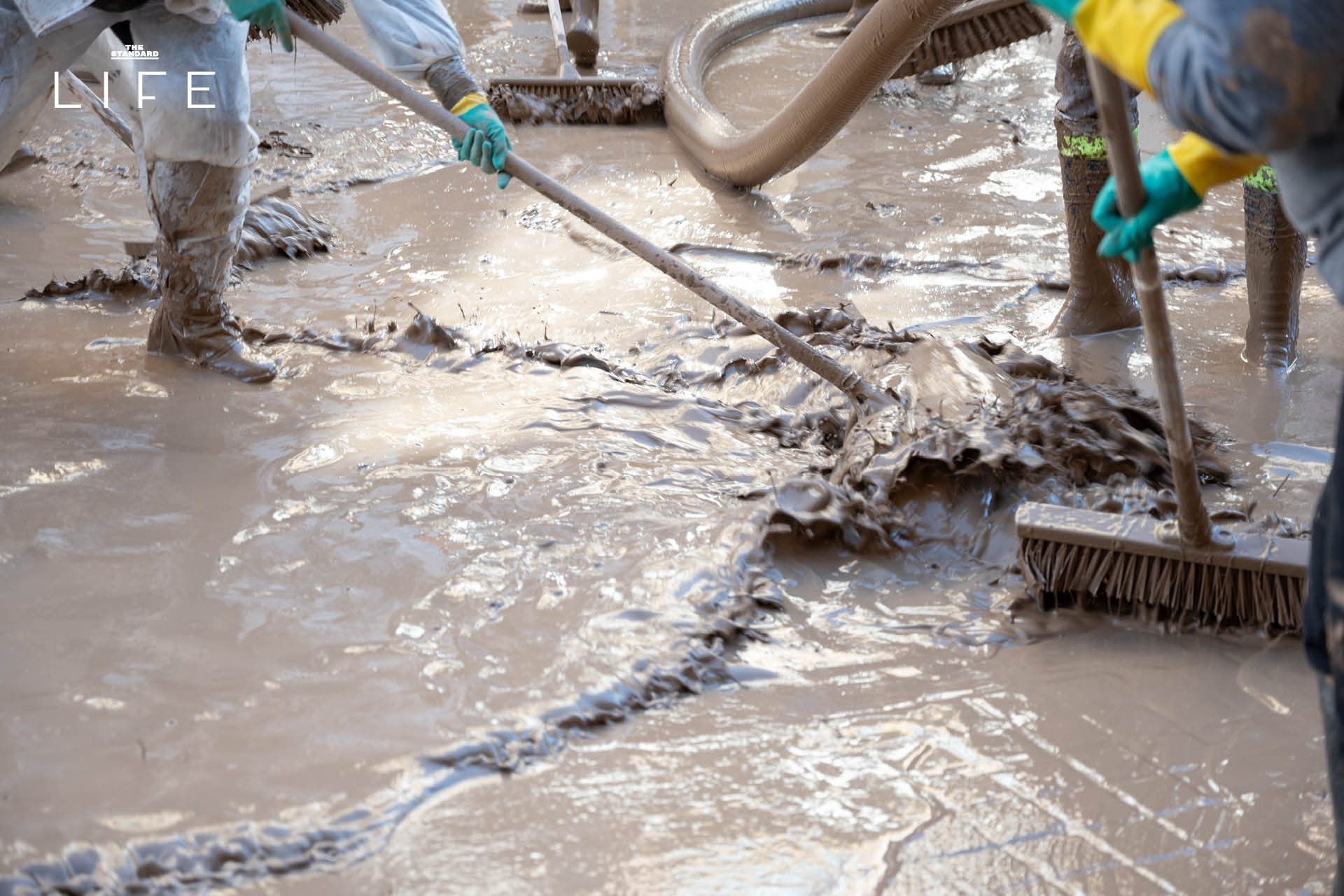 น้ำลดแล้วต้องทำอะไร? คู่มือจัดการบ้านหลังน้ำท่วมแบบง่ายที่สุด 2