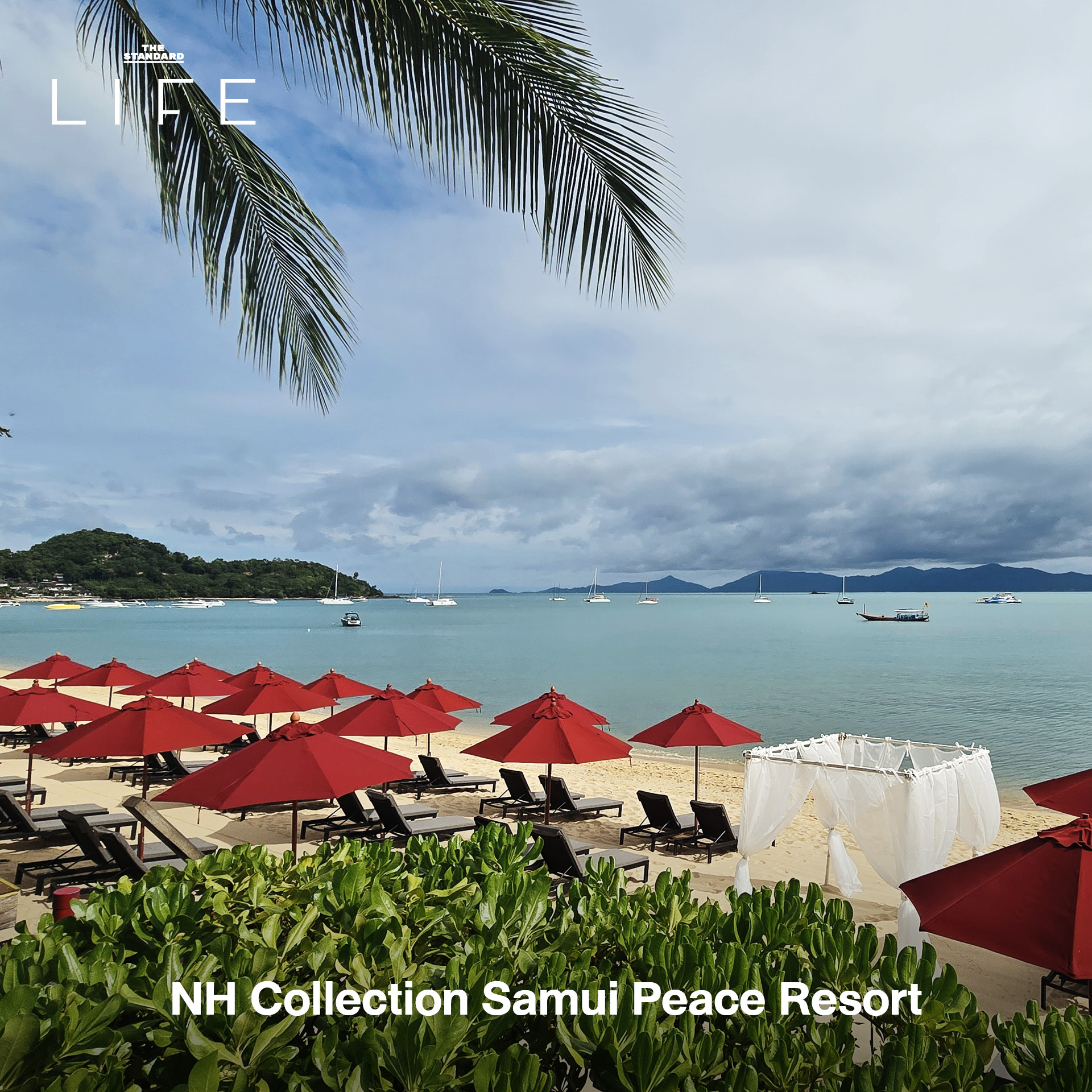 17 ที่พักเปิดใหม่ตลอดปี 2025 ไว้นอนพักผ่อนปี 2026 16