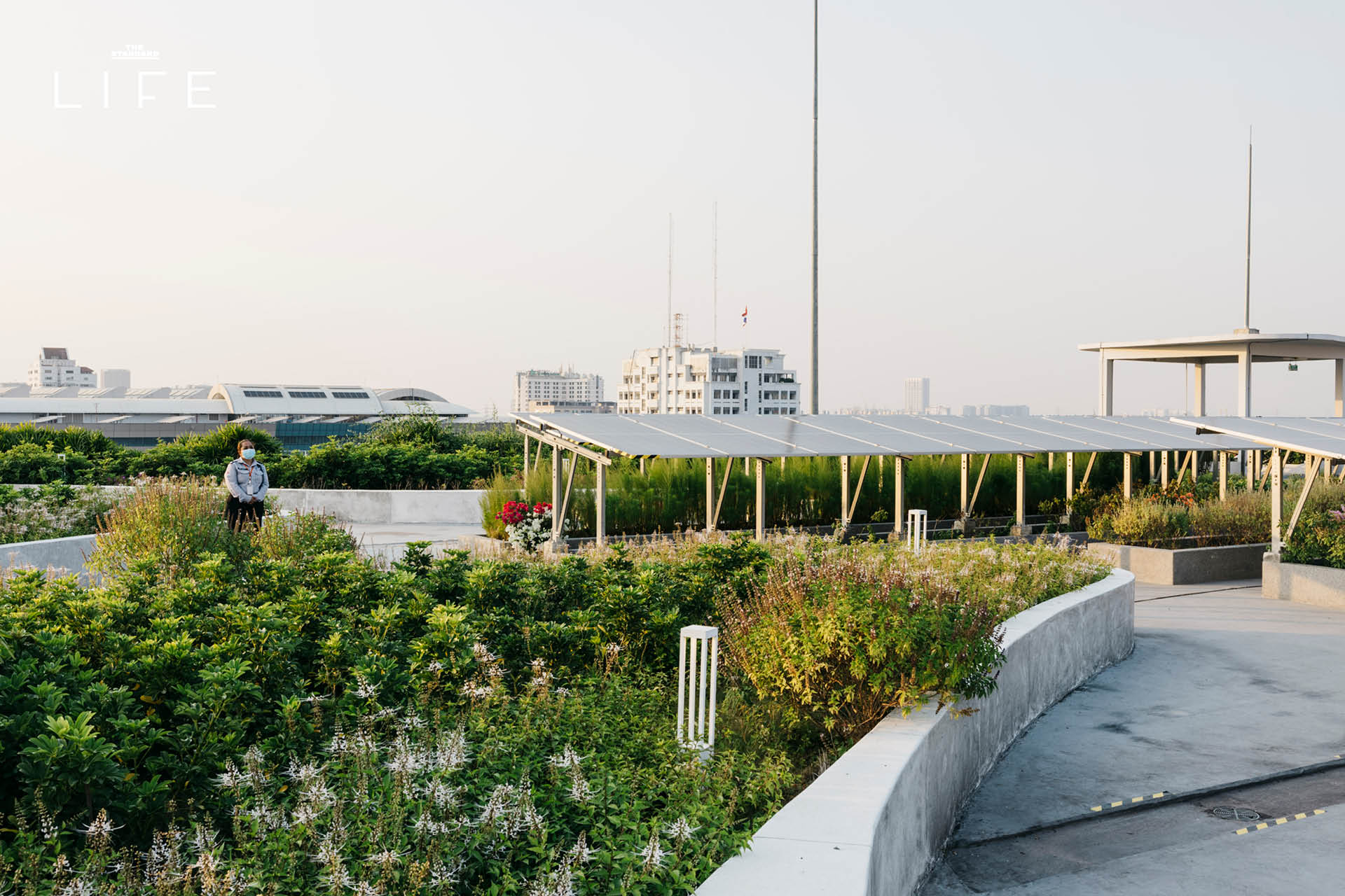 ภาพมุมสูงของศูนย์ราชการเฉลิมพระเกียรติฯ ที่เต็มไปด้วยพื้นที่สีเขียว