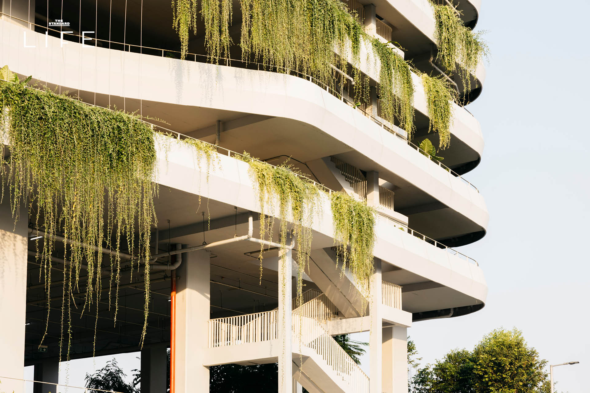 ภาพมุมสูงของศูนย์ราชการเฉลิมพระเกียรติฯ ที่เต็มไปด้วยพื้นที่สีเขียว