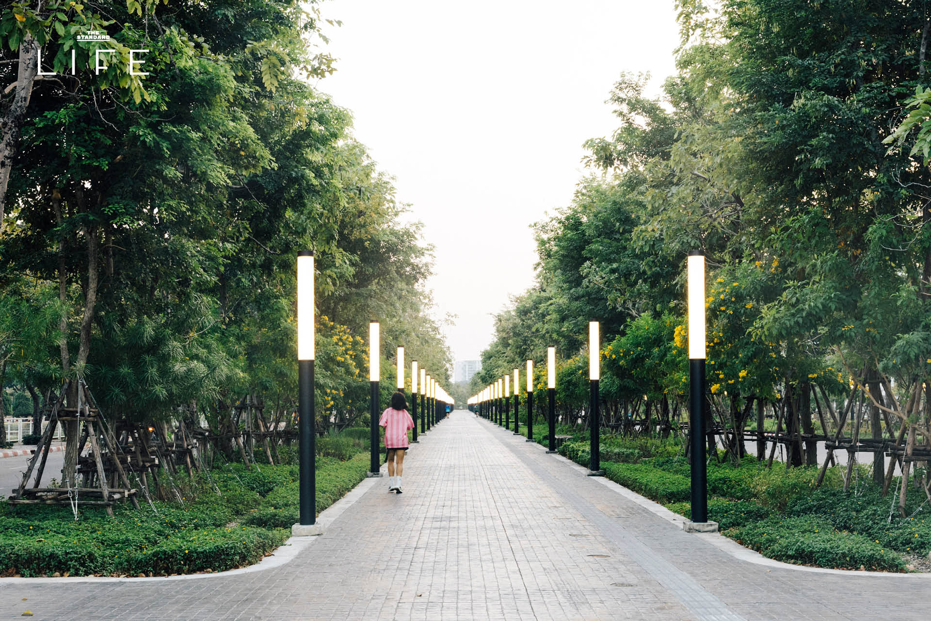 ภาพมุมสูงของศูนย์ราชการเฉลิมพระเกียรติฯ ที่เต็มไปด้วยพื้นที่สีเขียว