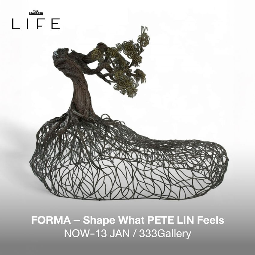 ผู้คนกำลังชมงานศิลปะหรือเทศกาลไฟ