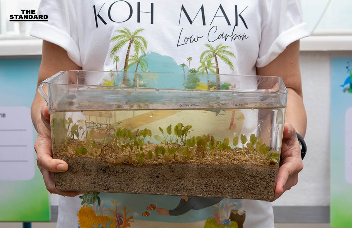 Tipping Point โลกเดือดที่หวนคืนไม่ได้