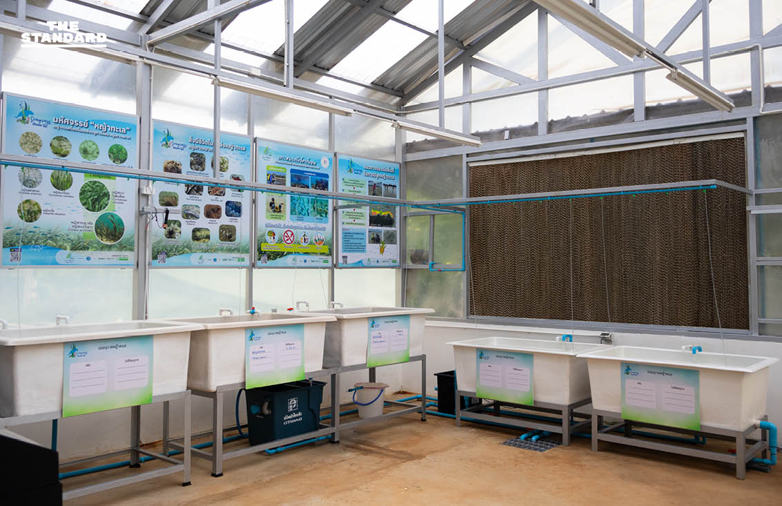 Tipping Point โลกเดือดที่หวนคืนไม่ได้