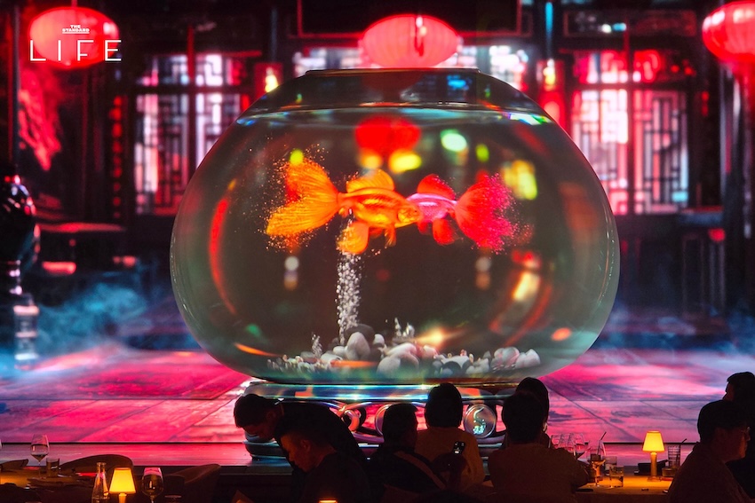 Chef Tam’s Seasons x Lamdre: เปิดมิติใหม่แห่งอาหารแพลนต์เบส เมื่อสองเชฟมิชลินโคจรมาเจอกัน 4