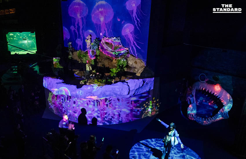 สวนสัตว์เชียงใหม่เปิดประสบการณ์ Night Aquarium ผสมผสานโลกใต้น้ำกับงานศิลปะแบบ Immersive 4